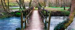 Foto noticia / Noticias Galicia Foto noticia / Noticias Galicia