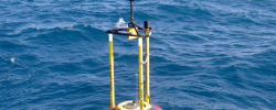El Ministerio de Transportes lanza un indicador para conocer la temperatura media diaria del mar en costas españolas que permita analizar los efectos del cambio climático