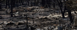 Daños causados por el incendio en la sierra oeste de Madrid. 