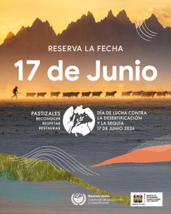 Cartel jornada