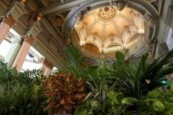 Refugio Climático en el Círculo de Bellas Artes de Madrid