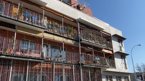 Entrepatios