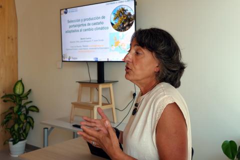 Beatriz Cuenca Valera, durante su intervención en el curso de verano sobre castaño y cambio climático en Lugo