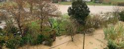 Foto noticia / BC3 noticias Foto noticia