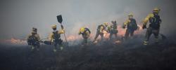 Las BRIF trabajando en un incendio Las BRIF trabajando en un incendio