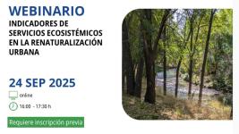 Cartel webinario