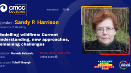 Modelling wildfires: current understanding,  new approaches, remaining challenges