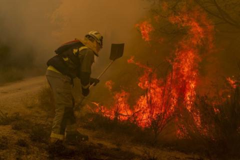 Foto noticia / ECOticias