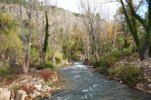 Río Mijares, en la demarcación hidrográfica del Júcar.