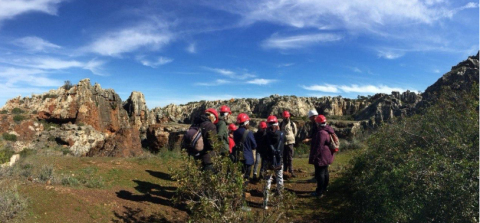 El MITECO impulsa la capacitación y formación en empleos vinculados a la transición ecológica con 12,6 millones de euros para desarrollar 42 proyectos