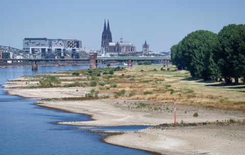 Wide panoramic view of Cologne skyline in July 2026: dried out riverbanks at Poller Wiesen during extreme Rhine low water level of 74 cm. 