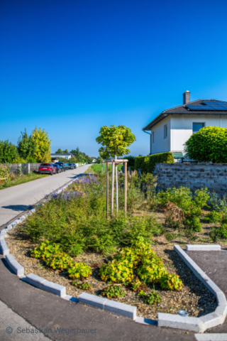 Small but mighty — climate resilience in Europe’s small municipalities